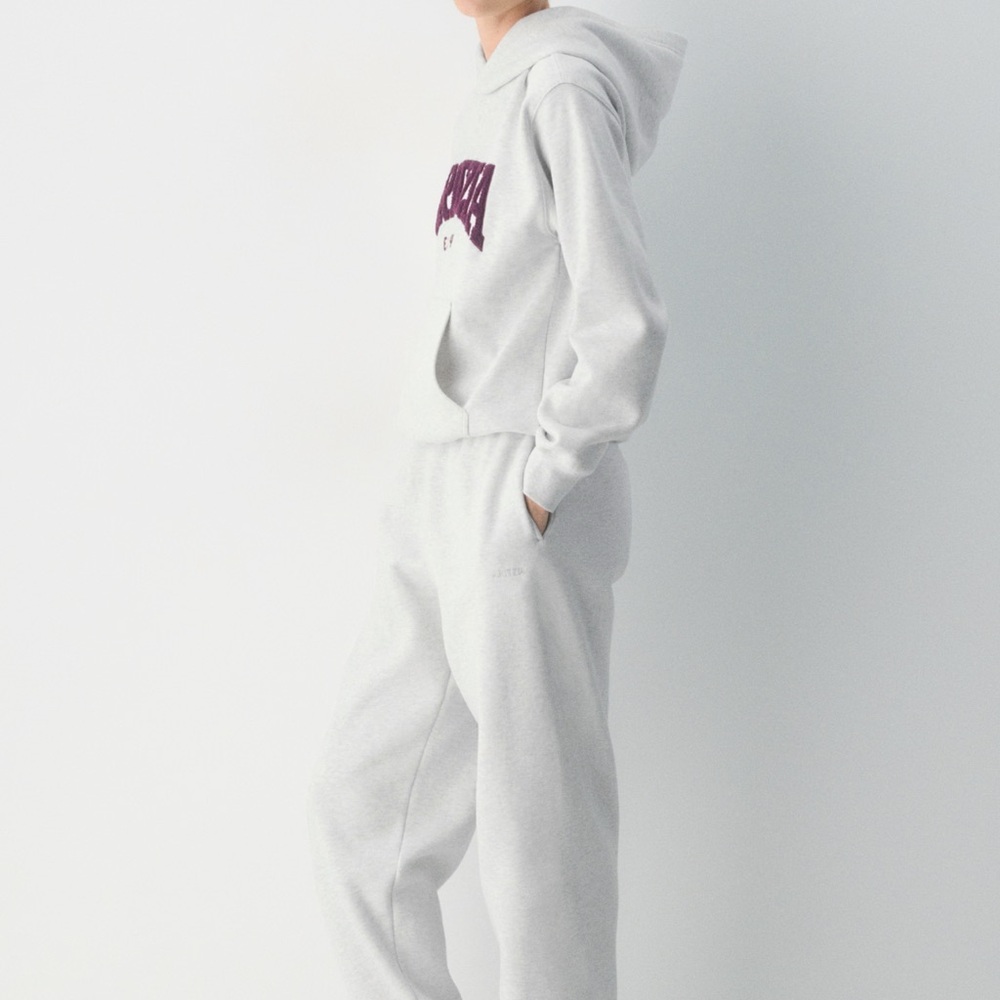 Aritzia Perfect Fit Hoodie - Picture 3 of 8